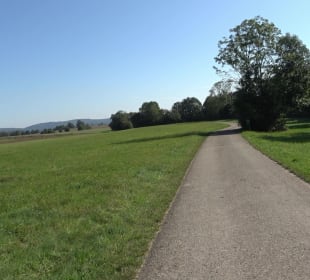 Kelten-Erlebnis-Pfad Erkenbrechtsweiler