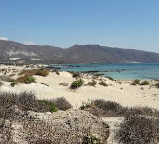 Strand von Elafonisi