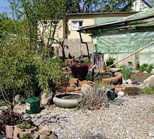 Der Gartenbereich wird noch