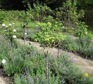 Rosengarten auf der Roseninsel