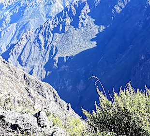 Colca-Canyon