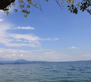 Blick auf den See
