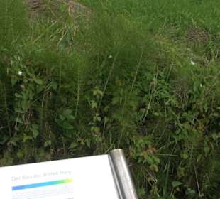 Themenweg Kaiserweg Zimmern