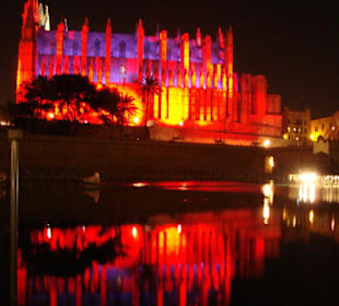 Illumation Kathedrale & See