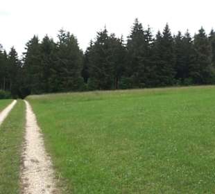 Premiumwanderweg "hochgehackert"