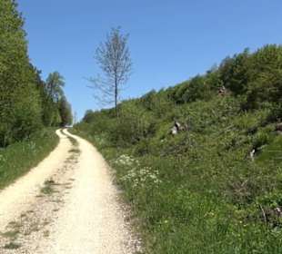 Magolsheimer Buchtalweg