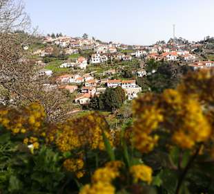 Wandern Funchal