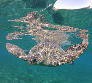 Zwischen 09:00 und 11:00 beim Divecenter