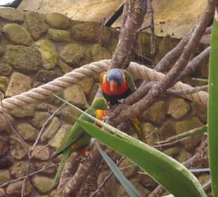 Weltvogelpark Walsrode