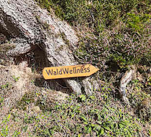 Wandern Balderschwang