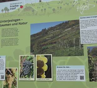 Unterjesinger Wengertwegle