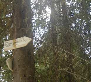 Peștera de la Alun