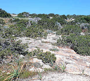 Nationalpark Kap Greco