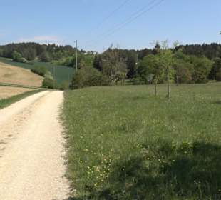 Premiumwanderweg Hochgehschätzt