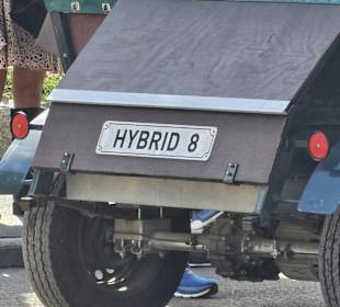 Pferdeshuttle zum Schloss