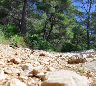 Weg zu Cala na Llobriga