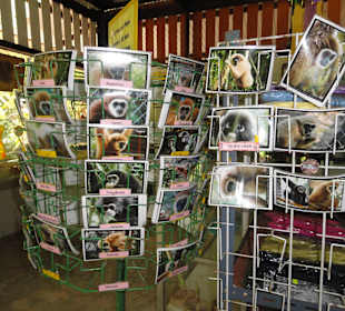 Kleiner Souvinirshop