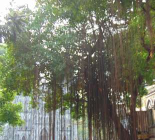 Hanoi City Tour (Sightseeing Bus)