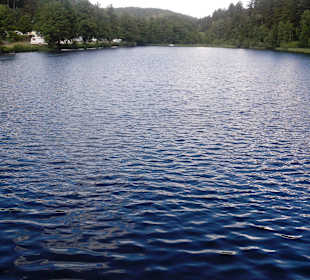 Sägmühlweiher bei Trippstadt, KL, im Pfälzer Wald 