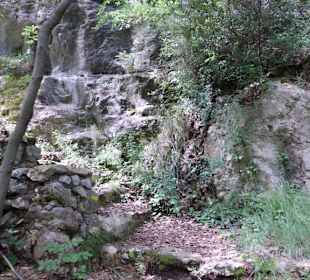 Immer noch der Zubringer-Weg