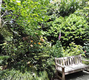 Eden Garden ein Paradies mitten in der Stadt