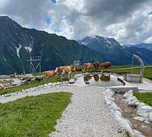 Wandern Ahorn Mayrhofen