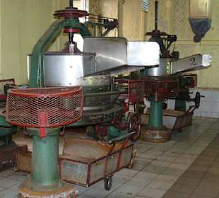 Ausflug Teeplantage