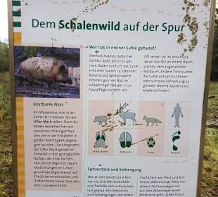 Ameisen Barfußpfad Hinweistafel