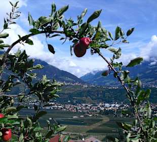 Blick auf Dorf Tirol vom Marlinger Waalweg
