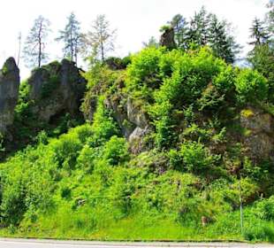 Wanderung zum Bärenfels