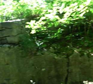 Ruine Hohenmelchingen