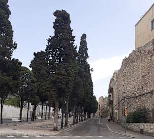 Stadtmauer Tarragona in Tarragona