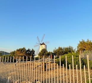 Strandpromenade San Antonio/San Antoni de Portmany