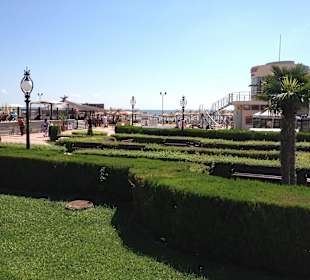 Schöne Heckenschnitte