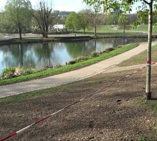 Inselsee Stuttgart