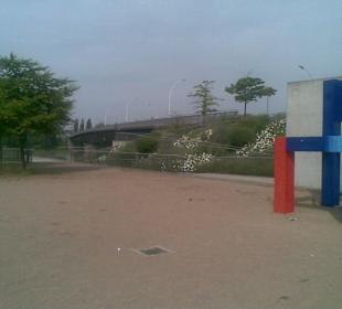 Vom Gartenschaugelände aus