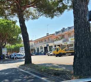 Am Rand von Bibi beginnen die Geschäfte