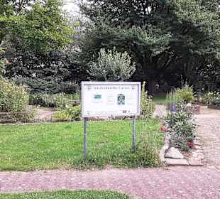 Interkultureller Garten