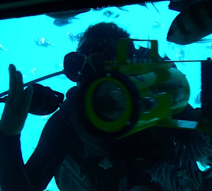 Der Taucher des Shark Video Team