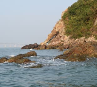 Fischerdorf Tai O Schnellboot-Tour
