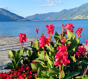 Stadtrundgang Ascona