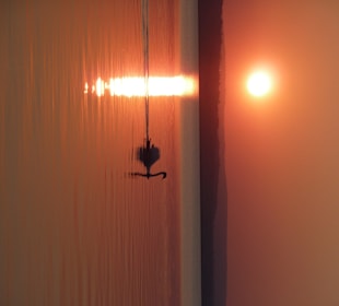 Stimmung am Neusiedlersee