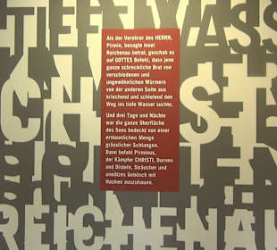 Museum Reichenau Mittelzell