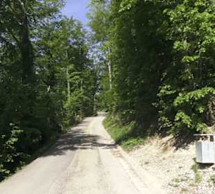 Burgruine Hohenrechberg