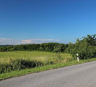 Blick in das Naturschutzgebiet