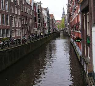 Nicht nur Tulpen aus Amsterdam