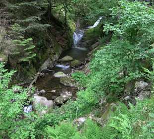 Wasserfälle Allerheiligen