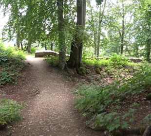 Burg Alt-Lichtenstein