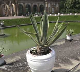 Barocker Schlossgarten