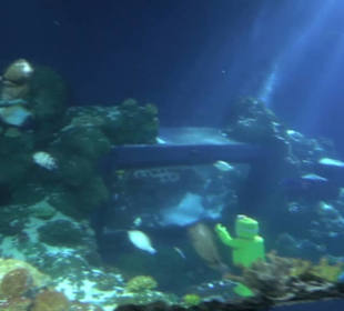  Lego X-Treme - Legoland Atlantis by SEA LIFE